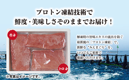 刺し身 本マグロ 300g 詰め合わせ 刺身 お刺し身 柵 マグロ 鮪