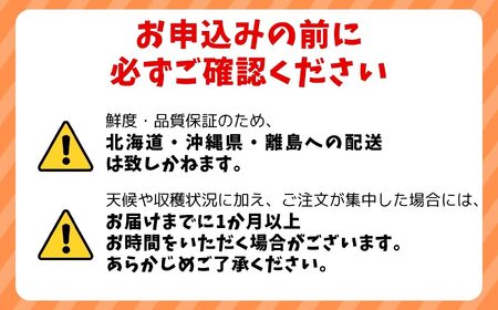 肉厚国産 生しいたけ 1kg | しいたけ 株式会社レインボー