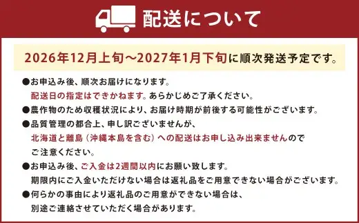 福岡産【冬】あまおう2パック いちご 苺 イチゴ 果物 くだもの フルーツ 冷蔵 【2026年12月上旬～2026年1月下旬発送予定】