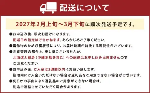 福岡産【春】あまおう3パック いちご 苺 イチゴ 果物 くだもの フルーツ 冷蔵 【2027年2月上旬～3月下旬発送予定】