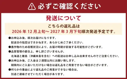 福岡県産あまおう ギフト箱 12-15粒 いちご 苺 イチゴ くだもの 果物 フルーツ 冷蔵 【2026年12月上旬～2027年3月下旬発送予定】