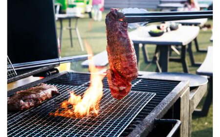 ツマギアンズ貸切利用券（平日4名様・テント泊プラン）人数分のBBQ食材付き (KDQ-27)