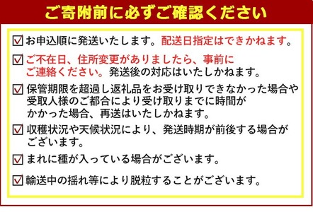 ＜先行予約受付中！2026年8月上旬以降順次発送予定＞＜数量限定＞シャインマスカット (約1.2kg) シャインマスカット 葡萄 ぶどう フルーツ 果物 くだもの 果実【115800100】【大分中央農産】