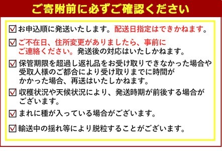 ＜先行予約受付中！2026年7月上旬以降順次発送予定＞＜数量限定＞デラウェア (約2kg) デラウェア 葡萄 ぶどう フルーツ 果物 くだもの 果実【115800200】【大分中央農産】