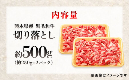 熊本県産 『原田畜産』 黒毛和牛 切り落とし 計約500g（約250g×2パック）牛肉切り落とし [AYCN126]