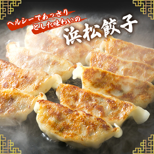 【定期便3回】ジューシーもち豚餃子（浜松餃子）うまさAランク 98個×3回（3か月）【配送不可：離島】餃子 ぎょうざ 中華 点心 惣菜 おかず 冷凍 ギョウザ 五味八珍 浜松市