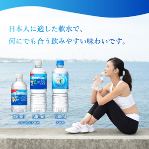 アサヒおいしい水 天然水富士山 600ml×24本 防災・備蓄用 ミネラルウォーター｜山梨県富士吉田市