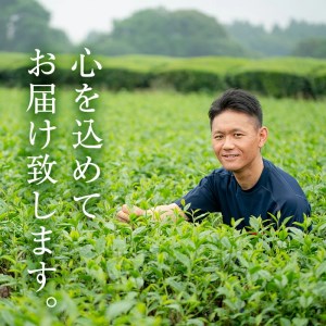 ＜お茶 生産量 日本一 の 鹿児島県産！＞小さいお茶屋の 煎茶 セット(煎茶100g×6本・合計600g) お茶 緑茶 加工品【お茶の山口園】A185-v01