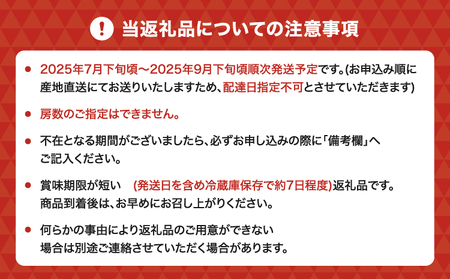 【先行予約】 7月のぶどう屋さん 新鮮朝採れシャインマスカット 4～5房 （約1.8kg） 松川果樹園 新鮮 シャインマスカット 朝採れ マスカット ギフト 贈答用 種なし ぶどう 葡萄 国産 九州 熊本県 宇城市 皮ごと食べられる【2026年7月上旬〜9月下旬頃順次発送予定】