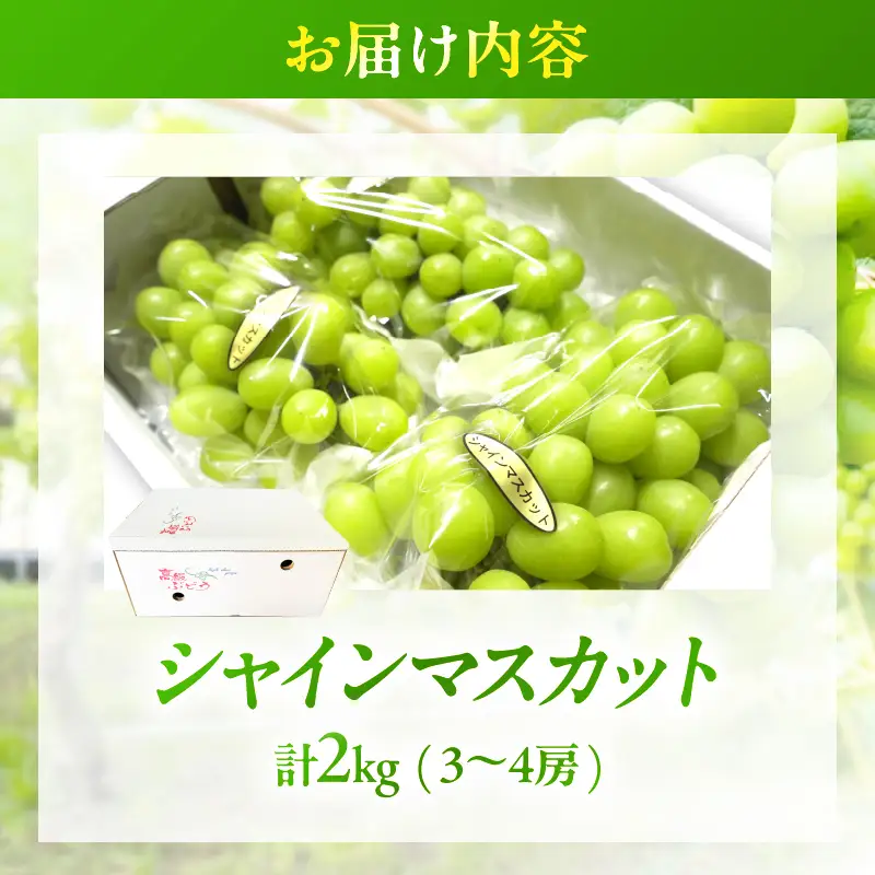先行予約≪期間限定≫シャインマスカット(計2kg) ぶどう フルーツ 果物 デザート 国産_T051-0015