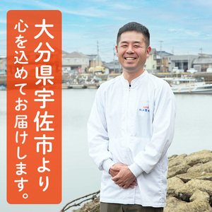 ＜訳あり＞天然エビフライ(計 30尾) 海老 えび エビフライ フライ 簡単 お弁当 おかず おつまみ 揚げるだけ 【104900900】【浜繁水産】