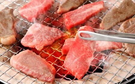 【全12回定期便】【A4ランク以上】長崎和牛 出島ばらいろ 特選焼肉 セット ( ロース カルビ カタロース モモ のいずれか2種類 ) 約300g×2 合計約600g ／ 和牛 国産 お肉 肉 牛肉 牛 焼き肉 焼肉 セット A4等級 BBQ バーベキュー アウトドア 肉のマルシン 出島 長崎県 長崎市