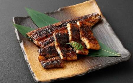 うなぎの蒲焼 （関西風） 4尾 セット 鰻 ウナギ 鰻の蒲焼 蒲焼き タレ うなぎのタレ 山椒 国産