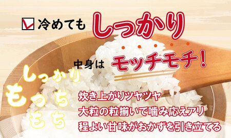 R7年度産 佐賀ブランド 米「さがびより」10kg（白米） 大坪精米所 C280-012