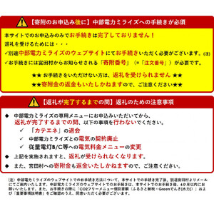 宮田村産CO2フリーでんき 10,000 円コース（注：お申込み前に申込条件を必ずご確認ください）