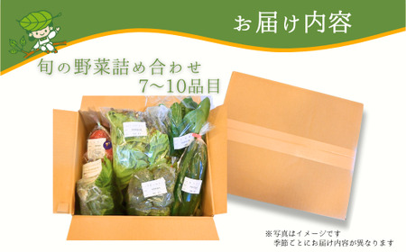 【6ヶ月定期便】新鮮野菜の産直 7～10品目 ＜楠こもれびの郷「楠四季菜市」＞｜野菜 宇部