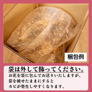ドライフラワー アレンジメント LN004