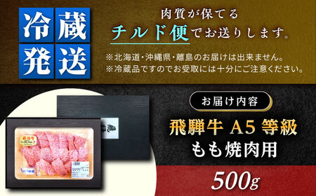 飛騨牛 A5 もも 500g / 恵那市 / 東美濃農業協同組合 [AUFX005]