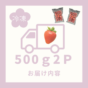 訳あり！太良町産「ゆめのか」冷凍いちご500ｇ×２袋 佐賀県 太良町 MA15