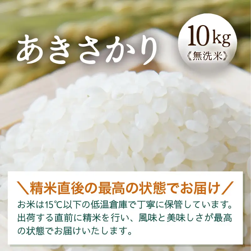 令和7年産 あきさかり 無洗米 10kg × 1袋（計10kg） ／ 米 10キロ 福井県産 ブランド米 あきさかり ご飯 白米 新鮮 高品質米 [aw121-b004]