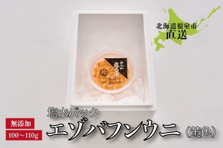 エゾバフンウニ(黄色)塩水パック100～110g×1パック C-22001