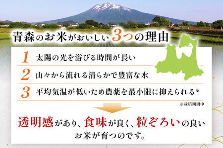 《定期便9ヶ月》【白米】青森県産 まっしぐら 10kg 精米 お米 青森県産 ブランド米