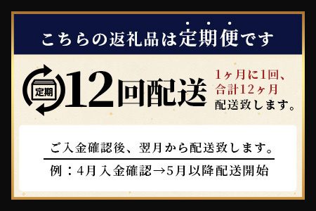 【12回定期】佐賀牛ハンバーグ　【生】150g×5個｜佐賀県 鹿島 生ハンバーグ 定期便 肉汁 ジューシー 焼きたてハンバーグ 牛肉 手ごねハンバーグ 本格ハンバーグ 贅沢な食事 定期便　O-6
