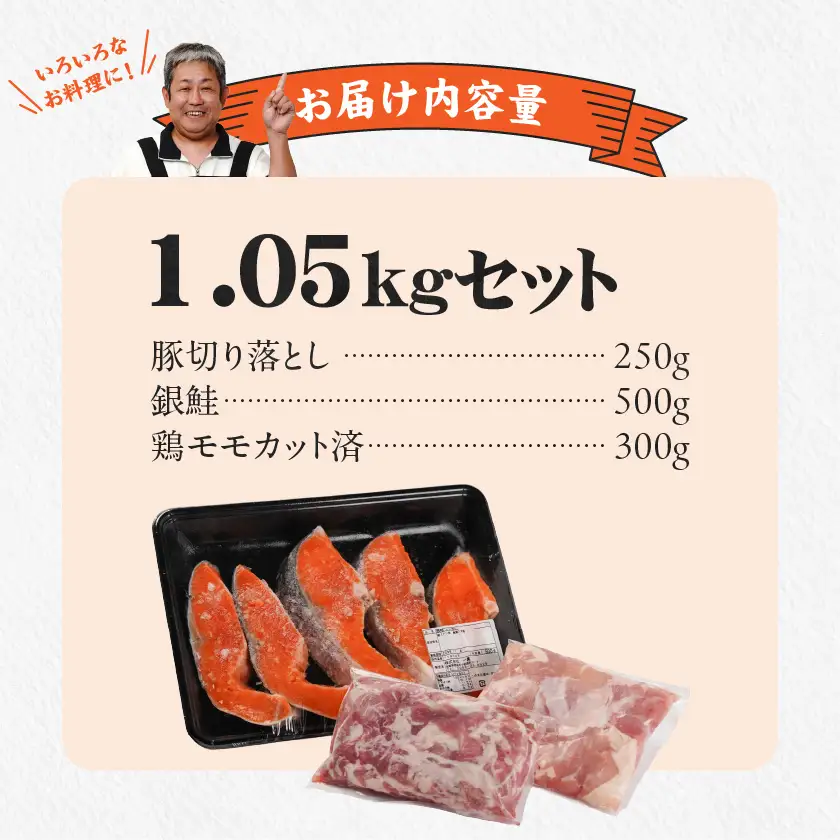 ≪肉×魚≫小分け3種セット(豚切り落とし250g・鶏モモカット済300g・銀鮭500g)〔AA-8413〕_(都城市) 小分けパック 冷凍 お弁当 おかず