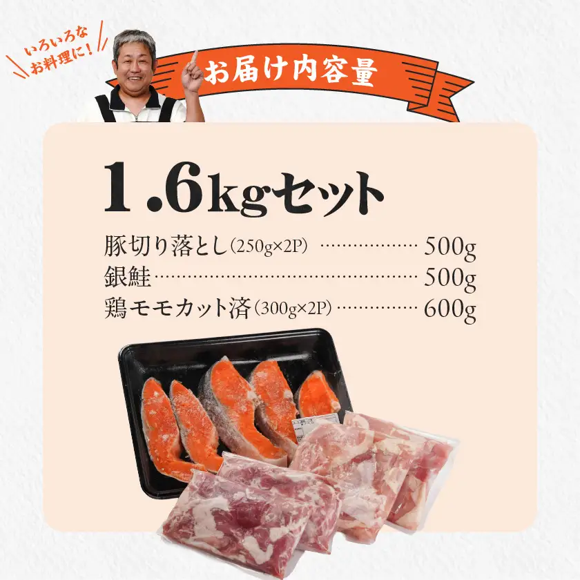≪肉×魚≫小分け3種セット(豚切り落とし250g×2P・鶏モモカット済300g×2P・銀鮭500g)〔13-8402〕_(都城市) 小分けパック 冷凍 お弁当 おかず