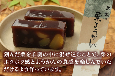 ようかん味比べセット（本練・栗）各1本（350g以上×2本）ゆうパケット