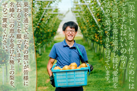 新甘泉3kg箱(鳥取県大山町産梨)【梨 新甘泉 赤秀 先行予約 季節限定 赤梨 3kg 5玉～8玉 なし 贈答用 期間限定 果物 フルーツ くだもの 数量限定】