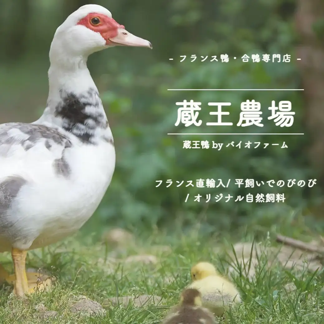 蔵王合鴨　スモーク　ももブロック　【04301-0787】