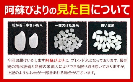 【12ヶ月定期便】阿蘇びより 白米 10kg (5kg×2袋)《お申込み翌月から出荷》 ｜国産米 人気米 熊本県産米 お米
