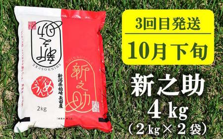 【先行予約・令和8年産新米定期便・8月下旬～発送】新潟米 3種食べ比べ 白米 4kg×3回（計 12kg）葉月みのり・コシヒカリ・新之助 水田環境鑑定士在籍[Y0196]