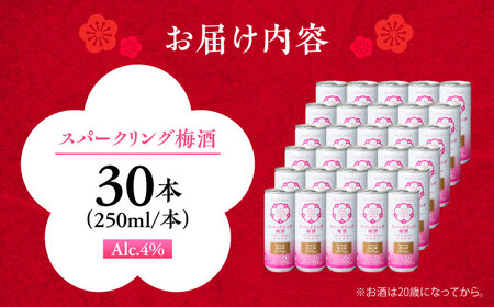スパークリング梅酒 1ケース(250ml×30本入り) / 梅酒 本格梅酒 梅  / 日田市 / 株式会社おおやま夢工房[ARCW012]