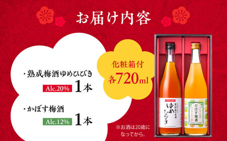 梅酒蔵おおやま 梅酒セット 各720ml / 酒 梅  / 日田市 / 株式会社おおやま夢工房[ARCW013]
