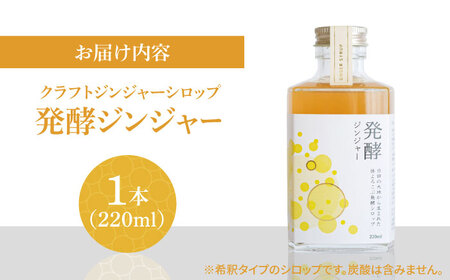【お中元対象】ピリっと生姜にスパイスの甘い香り！身体にも心にも優しい発酵ジンジャーシロップ！発酵ジンジャー（1本）スパイス 炭酸 シロップ[ARDA008]