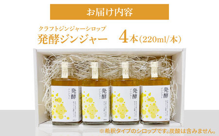 【お中元対象】ピリっと生姜にスパイスの甘い香り！身体にも心にも優しい発酵ジンジャーシロップ発酵ジンジャー（４本セット）  スパイス 炭酸 シロップ[ARDA012]