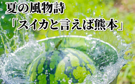 大玉すいか 秀品 1玉 約6kg?9kg 西瓜 スイカ 果物 くだもの フルーツ 【2026年5月下旬～7月下旬迄順次発送予定】