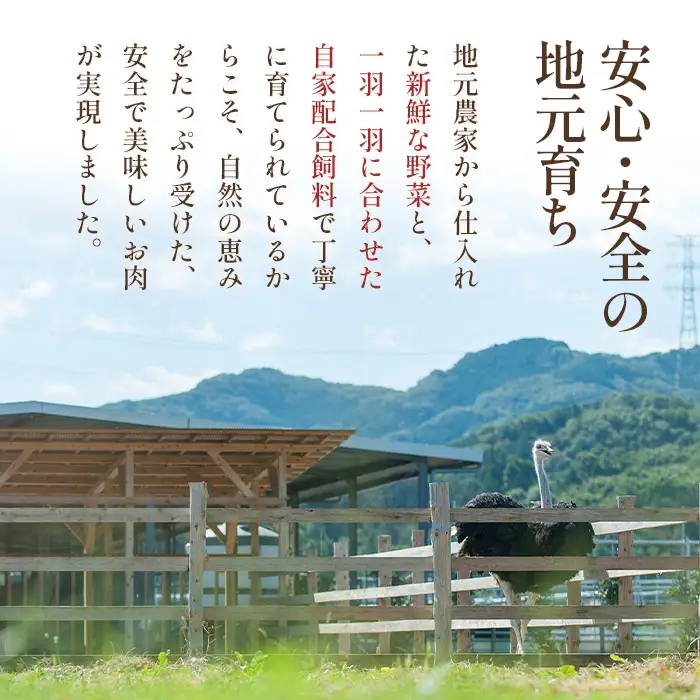 国産オーストリッチハツ700g  [No.067]
