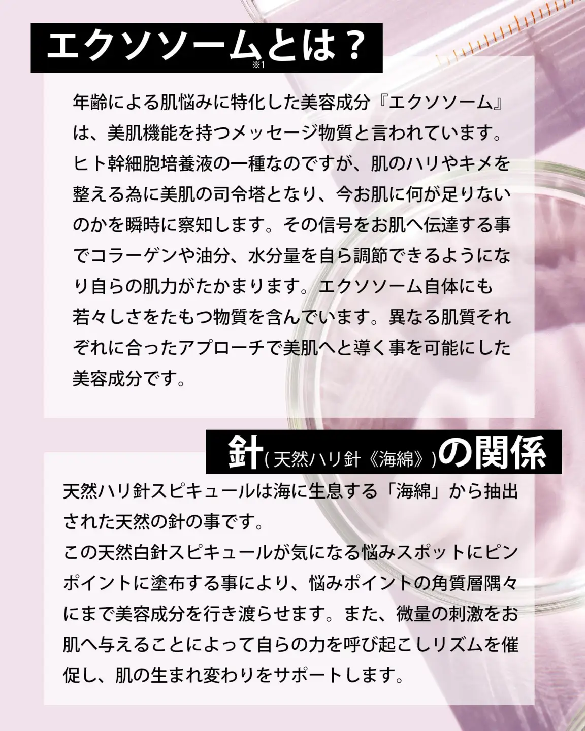 【MARK AID】エクソスピキュールクリーム 2本セット【エクソソーム針クリーム】［ 京都 美容 ブランド 年齢による悩みに濃厚 保湿クリーム 寝ている間にハリ感向上 人気 おすすめ スキンケア用品 基礎化粧品 化粧品 美容クリーム お取り寄せ 通販 送料無料 ふるさと納税 ］