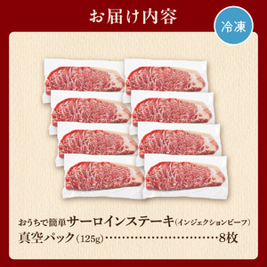 おうちで簡単サーロインステーキ（125ｇ×8） ｜ 【最短4～7日以内発送】 ステーキ 冷凍 簡単 北海道石狩市