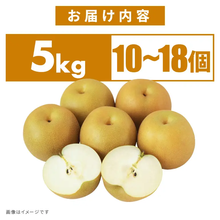 訳あり 柴沼梨園の梨 （ 幸水 ） 梨 5kg 訳あり品 10～18個入り 先行予約 【8月中旬～8月下旬発送】 BX-001