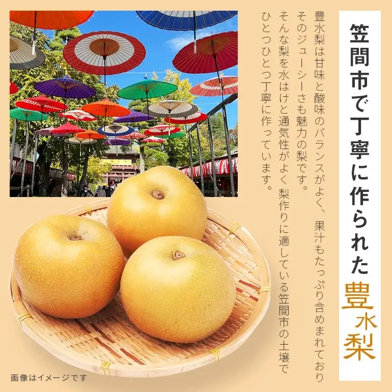 訳あり 柴沼梨園の梨 （ 豊水 ） 梨 5kg 10～16個入り 先行予約 【 9月上旬～9月下旬発送 】 BX-002