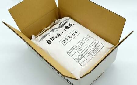 【令和7年産米】コシヒカリ 白米 5kg 新潟米 [Y0526]