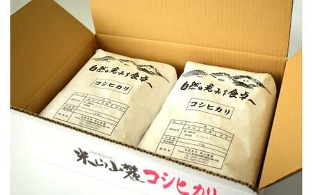 【令和7年産米】コシヒカリ 白米 10kg（5kg×2袋） 新潟米 [Y0527]