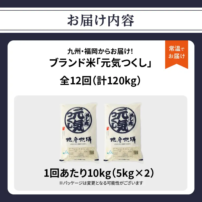 九州・福岡からお届け！ブランド米「元気つくし」定期便 10kg(5㎏×2)【全12回】 お米 米 コメ 白米 特A 直送 お弁当 おにぎり 炊きたて ツヤ 粘り もちもち 弾力 卵かけご飯 福岡県 八女市 072-T157