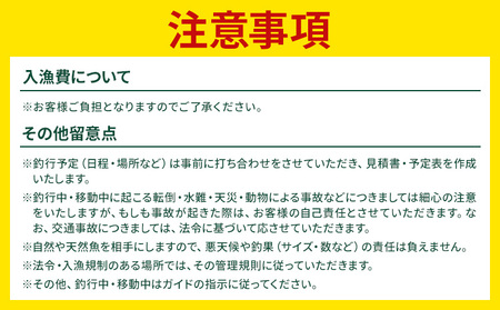千葉ガイド フライフィッシング ツアーガイド チケット 2名様 《30日以内に出荷予定(土日祝除く)》 体験 釣り 券 WILDLIFE 川釣り 魚 遊び ガイド プロ 北海道 名寄市