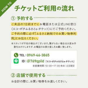 S060-119_エコ・アースでご利用可能なお買い物券　8,000円分