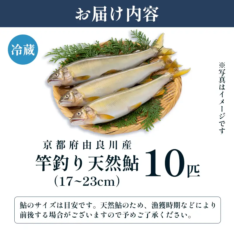 【2026年夏発送】天然鮎 竿釣り 10匹 （17?23cm） 配送不可：北海道、東北、九州、沖縄、離島